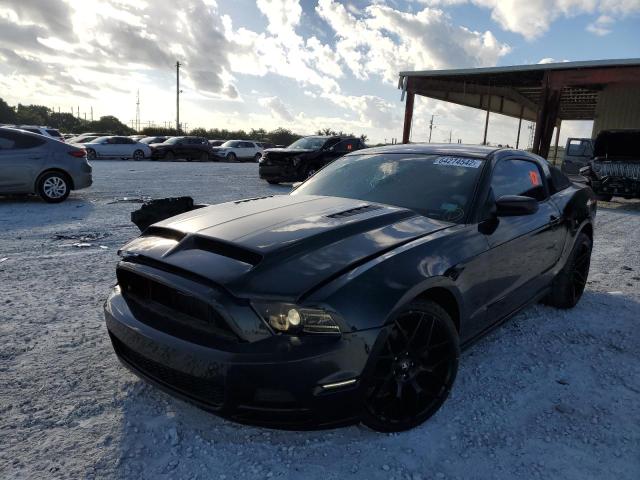 1ZVBP8AM8E5280309 - 2014 FORD MUSTANG BLACK photo 2