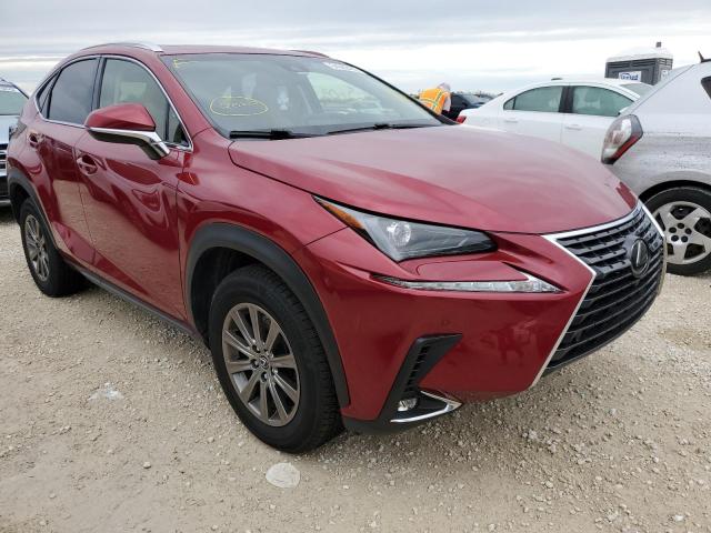 JTJYARBZ2K2137008 - 2019 LEXUS NX 300 BAS RED photo 1