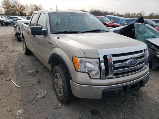 1FTFW1E85AFA66488 - 2010 FORD F150 SUPER BEIGE photo 1