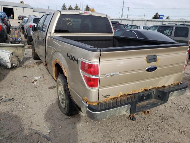 1FTFW1E85AFA66488 - 2010 FORD F150 SUPER BEIGE photo 3