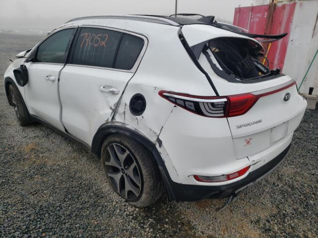 KNDPR3A6XH7245223 - 2017 KIA SPORTAGE S WHITE photo 3