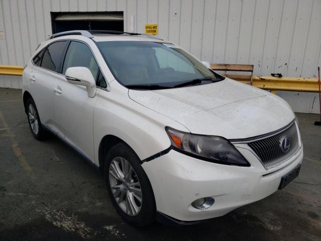 JTJBC1BA8B2036745 - 2011 LEXUS RX 450 WHITE photo 1