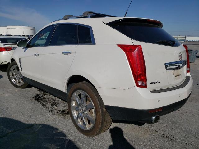 3GYFNEEY1BS572658 - 2011 CADILLAC SRX PERFOR WHITE photo 3