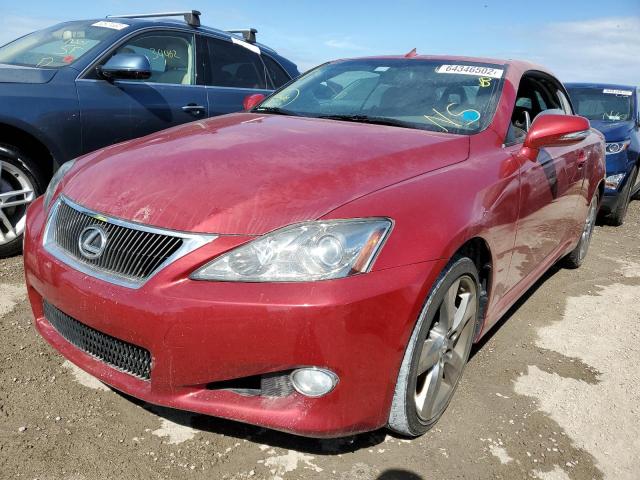 JTHFE2C2XA2502264 - 2010 LEXUS IS 350 RED photo 2