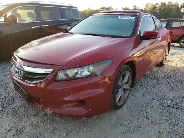 1HGCS2B87CA001250 - 2012 HONDA ACCORD EXL RED photo 2