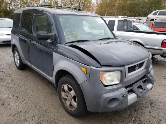 5J6YH28243L005681 - 2003 HONDA ELEMENT DX BLACK photo 1