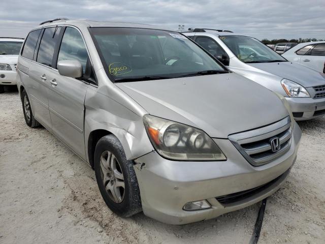 5FNRL38816B038003 - 2006 HONDA ODYSSEY TO BEIGE photo 1