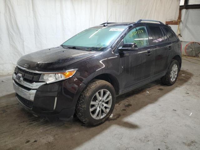 2FMDK4JC8DBA85889 - 2013 FORD EDGE SEL PURPLE photo 2