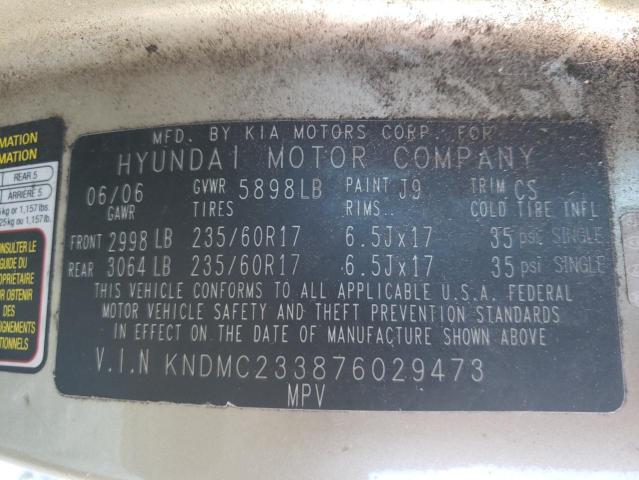 KNDMC233876029473 - 2007 HYUNDAI ENTOURAGE GOLD photo 10