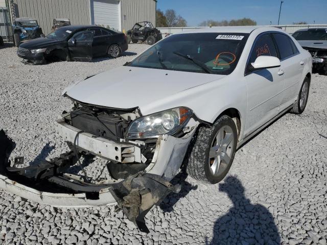 1G1ZH57B09F132845 - 2009 CHEVROLET MALIBU 1LT Weiß Foto 2