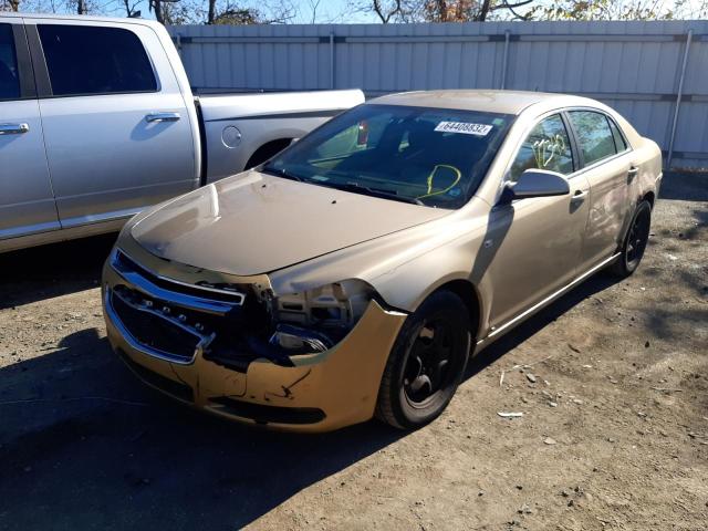 1G1ZH57BX8F162238 - 2008 CHEVROLET MALIBU 1LT 金色 照片 2