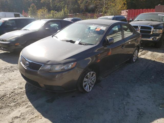 KNAFU4A2XB5389223 - 2011 KIA FORTE EX GRAY photo 2