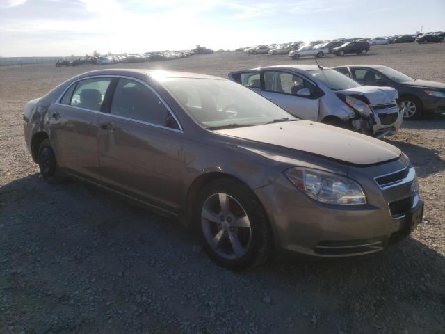 1G1ZC5E04CF145704 - 2012 CHEVROLET MALIBU 1LT 棕色 照片 1