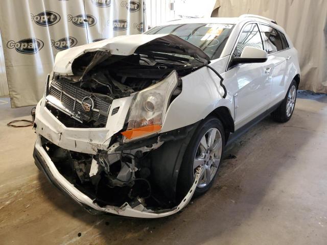 3GYFNBEY2BS541353 - 2011 CADILLAC SRX PERFOR 白色 照片 2