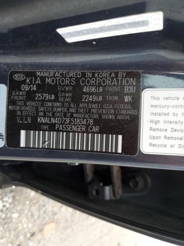 KNALN4D73F5183478 - 2015 KIA CADENZA PR BLUE photo 10