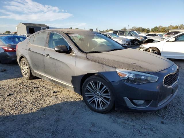 KNALN4D73E5155887 - 2014 KIA CADENZA PR GRAY photo 1