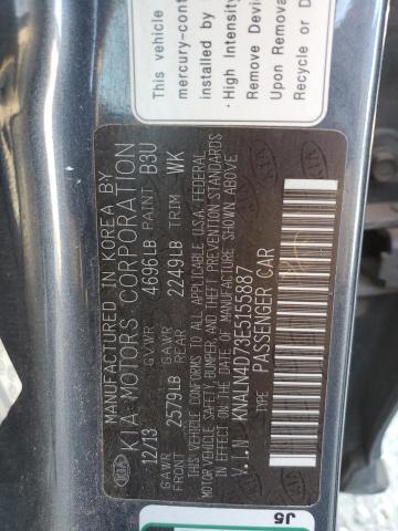 KNALN4D73E5155887 - 2014 KIA CADENZA PR GRAY photo 10