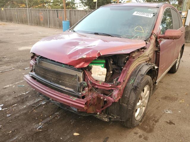 5J6RE48739L012649 - 2009 HONDA CR-V EXL MAROON photo 9