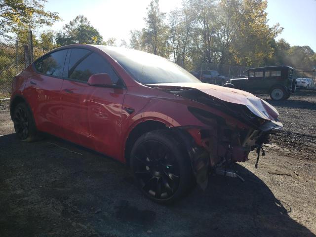 7SAYGDEEXNF454438 - 2022 TESLA MODEL Y RED photo 1