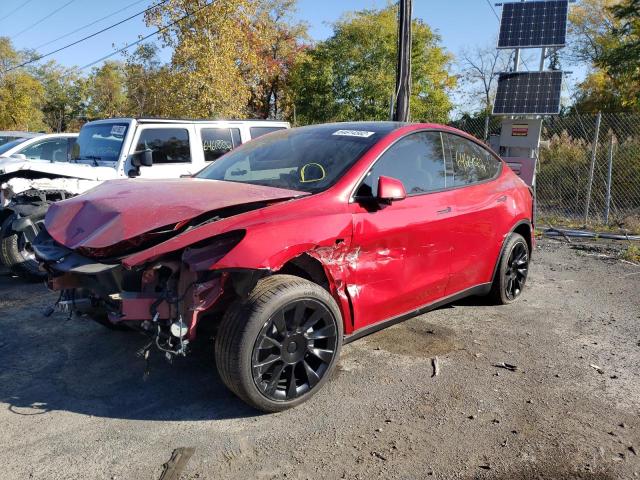 7SAYGDEEXNF454438 - 2022 TESLA MODEL Y RED photo 2