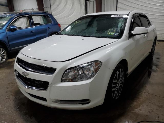 1G1ZH57B994172580 - 2009 CHEVROLET MALIBU 1LT 白色 照片 2
