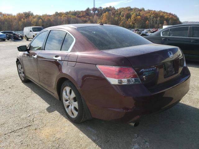 1HGCP36829A000372 - 2009 HONDA ACCORD EXL PURPLE photo 3