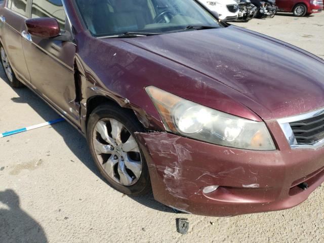 1HGCP36829A000372 - 2009 HONDA ACCORD EXL PURPLE photo 9