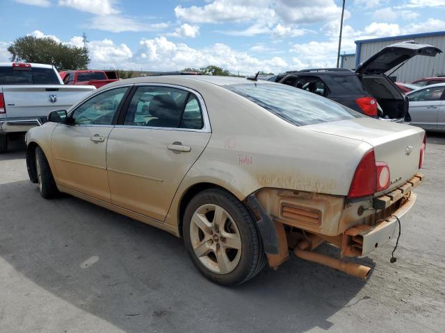 1G1ZC5EBXAF323047 - 2010 CHEVROLET MALIBU 1LT BEIGE photo 3