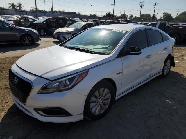 KMHE24L16HA056263 - 2017 HYUNDAI SONATA HYB WHITE photo 2