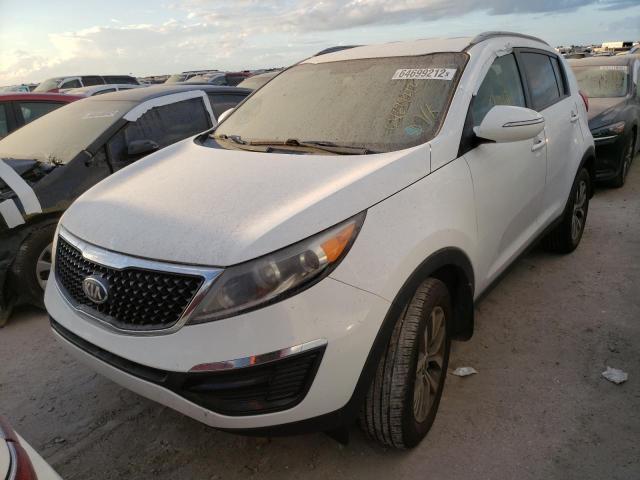 KNDPB3AC1E7617814 - 2014 KIA SPORTAGE B WHITE photo 2