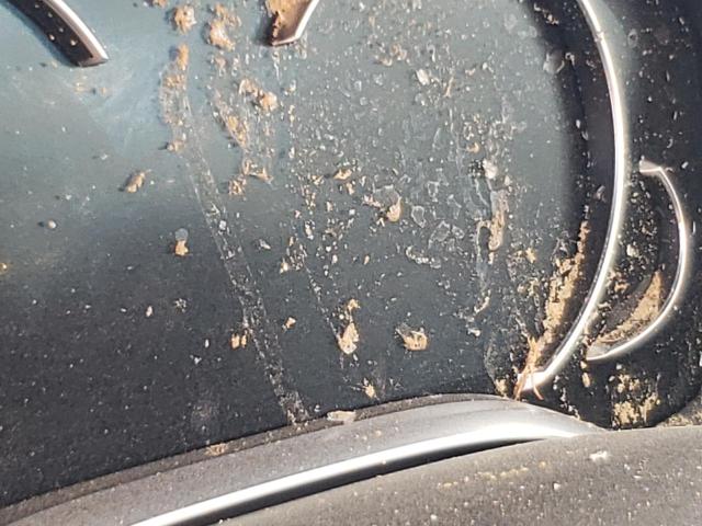 WBA7F0C5XJGM23677 - 2018 BMW 750 I ნაცრისფერი ფოტო 8