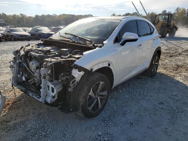 JTJYARBZ4K2140265 - 2019 LEXUS NX 300 BAS 白色 照片 2