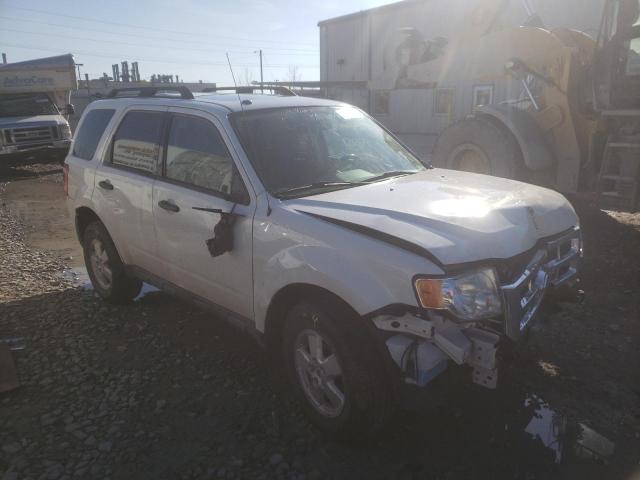 1FMCU93G69KD03800 - 2009 FORD ESCAPE WHITE photo 1