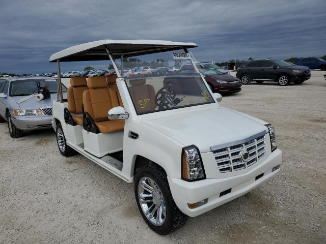 1A9LREAR7FC596742 - 2014 OTHER GOLFCART WHITE photo 1