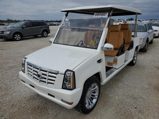 1A9LREAR7FC596742 - 2014 OTHER GOLFCART WHITE photo 2