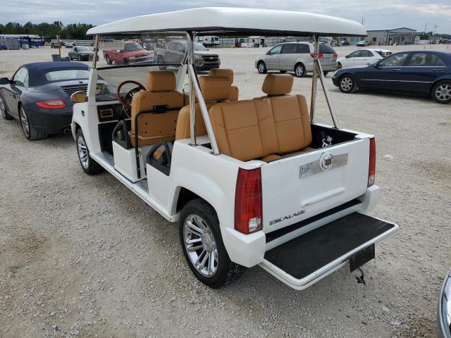 1A9LREAR7FC596742 - 2014 OTHER GOLFCART WHITE photo 3