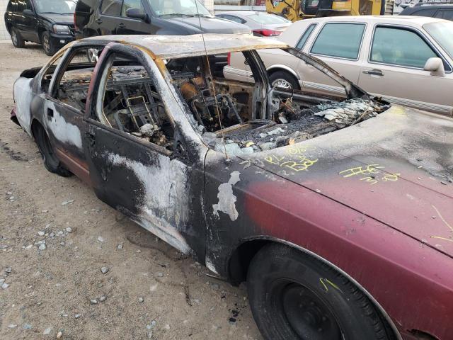 1G1BL52W0SR111105 - 1995 CHEVROLET CAPRICE CL 红色 照片 9