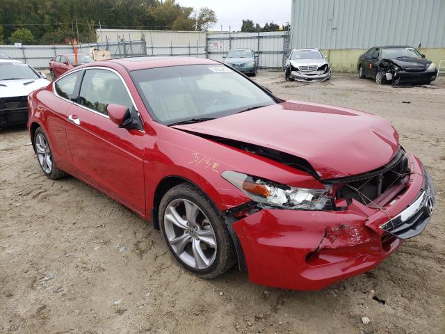 1HGCS2B85CA007323 - 2012 HONDA ACCORD EXL RED photo 1