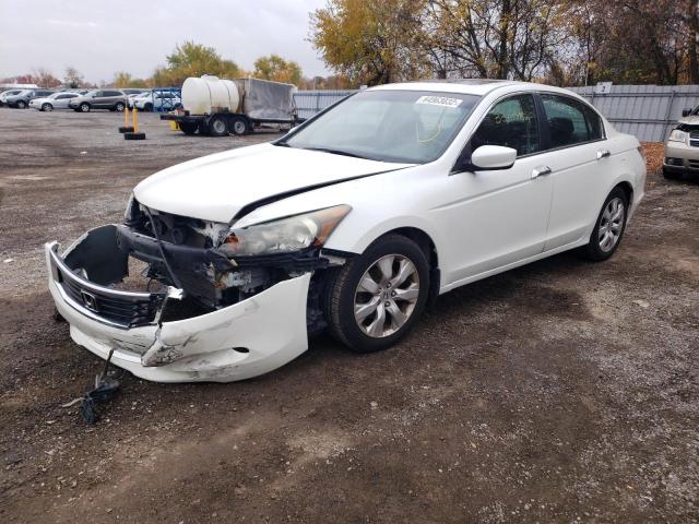 1HGCP36838A801875 - 2008 HONDA ACCORD EXL WHITE photo 2