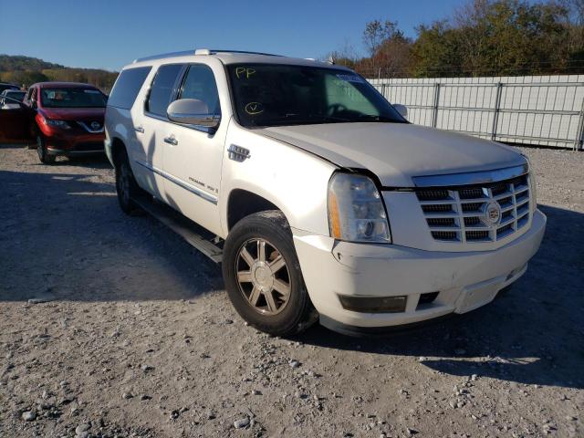 1GYFK66897R321751 - 2007 CADILLAC ESCALADE E WHITE photo 1