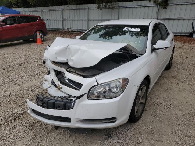 1G1ZC5EUXCF383933 - 2012 CHEVROLET MALIBU 1LT 白色 照片 2