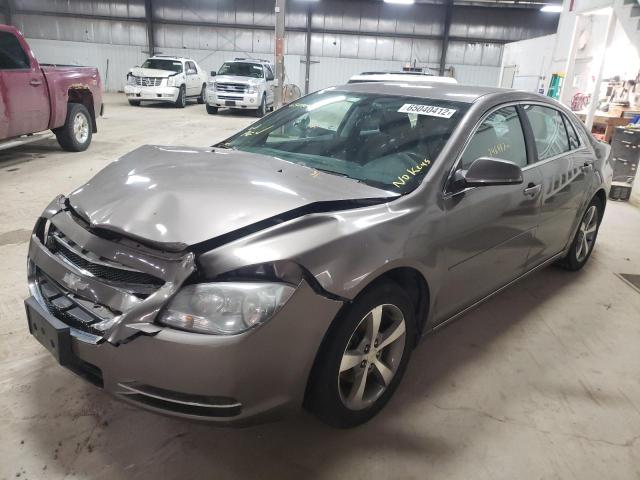 1G1ZC5EU0BF297321 - 2011 CHEVROLET MALIBU 1LT Қоңыр фото 2