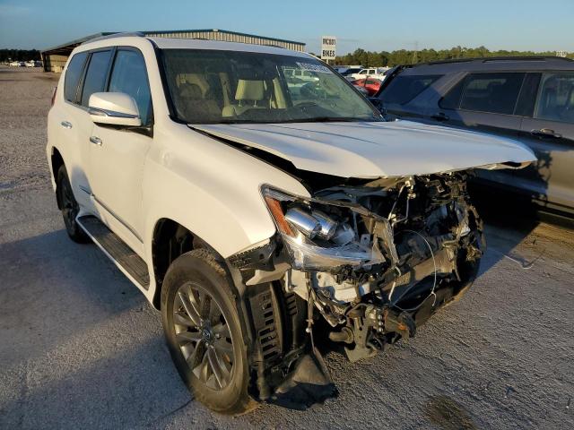 JTJJM7FXXK5225065 - 2019 LEXUS GX 460 PRE WHITE photo 1