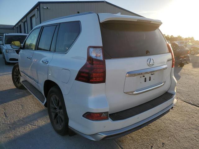 JTJJM7FXXK5225065 - 2019 LEXUS GX 460 PRE WHITE photo 3