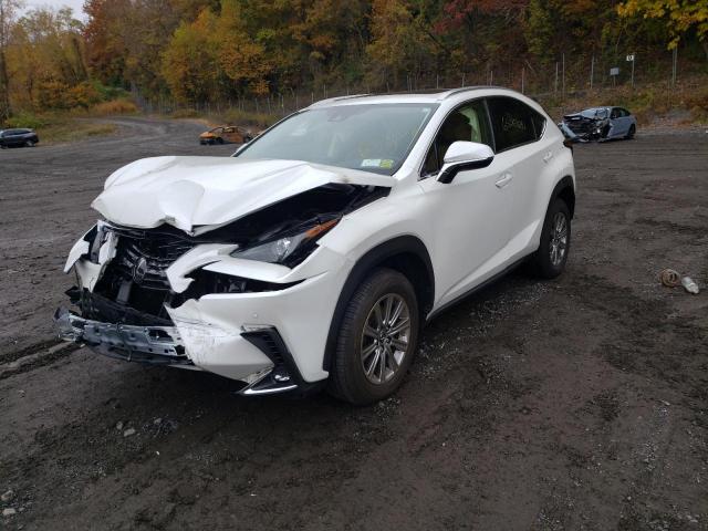 JTJDARDZXL2235961 - 2020 LEXUS NX 300 WHITE photo 2