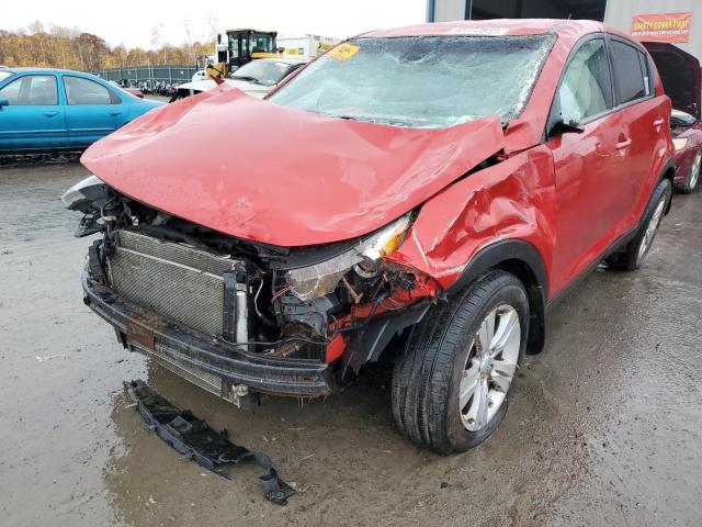 KNDPB3A25C7196667 - 2012 KIA SPORTAGE B RED photo 2