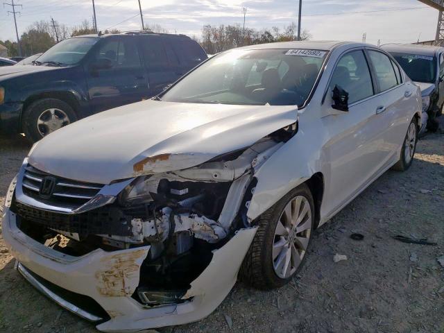 1HGCR2F84DA081713 - 2013 HONDA ACCORD EXL WHITE photo 2