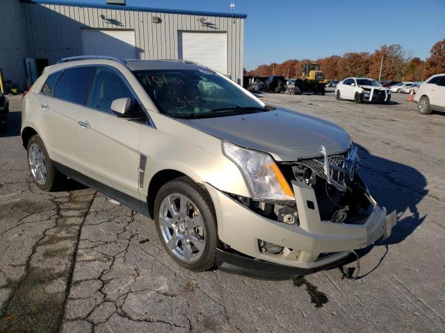 3GYFNBEY6BS585999 - 2011 CADILLAC SRX PERFOR 金色 照片 1