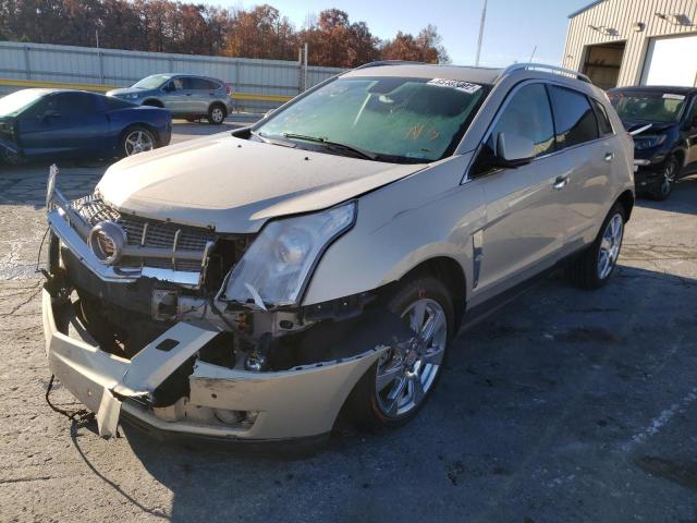 3GYFNBEY6BS585999 - 2011 CADILLAC SRX PERFOR GOLD photo 2