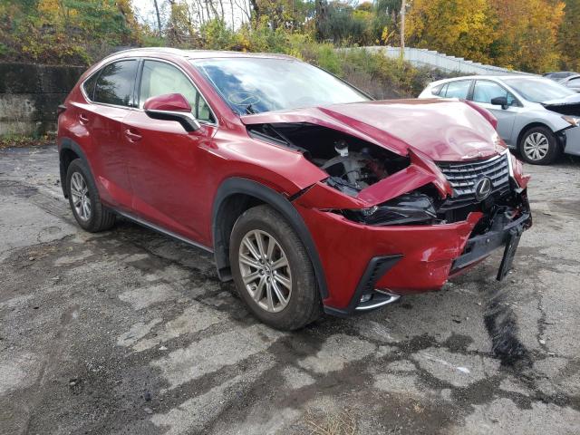 JTJDARDZ3M5025346 - 2021 LEXUS NX 300 BAS 红色 照片 1